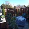 Buy cheap Balcony Decor Corten Steel Laser Cut Panels Metal Privacy Screens Prerusted from wholesalers