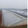 Buy cheap JX-SG-111 Climate-Controlled Sunlight Greenhouse for Sand Culture Vegetable Planting from wholesalers