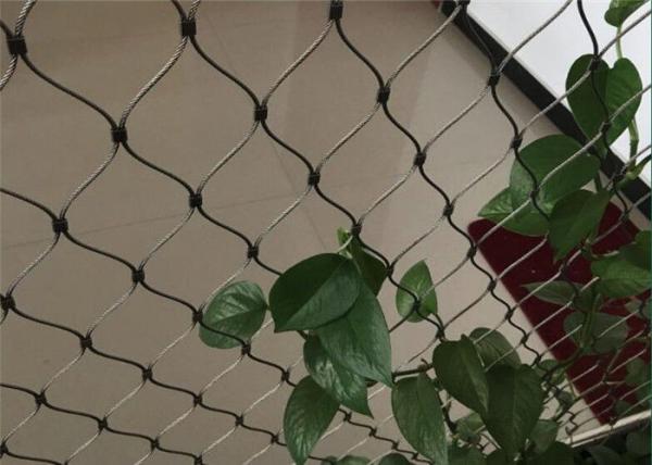 Buy cheap Green Wall Stainless Steel Cable Trellis Diamond / Rhombus Mesh from wholesalers