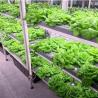 Buy cheap Commercial Greenhouse Hydroponic Vertical Farming Container from wholesalers