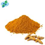 Orange Yellow Turmeric Root Extract 95% 98% Curcumin Extract Powder For Food