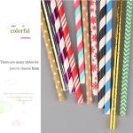 Event Party Striped Coated Burgundy Biodegradable Paper Straws