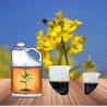 Buy cheap Amino Acid Chelate Calcium Magnesium Boron Organic Liquid Fertilizer For Agricutural Crops Plants from wholesalers