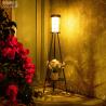 Buy cheap Dual-Power Solar Lamps Solar Powered Outdoor Lights for Outdoor Lighting Needs from wholesalers