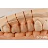 Buy cheap High Chipping Resistance And Natural-looking Esthetics With Multilayer Full Zirconia Technology from wholesalers