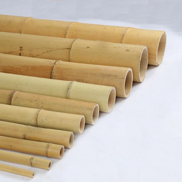 Buy cheap Dried Treated Gardening Bamboo Sticks Poles Canes Stakes 16cm For Construction from wholesalers