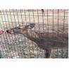 Buy cheap Euro Holland Farm Mesh Fencing Grass Green For Animal Isolation from wholesalers