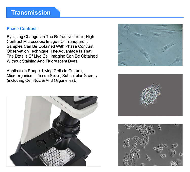 OPTO EDU A16.1063 LED Inverted Fluorescence Microscope