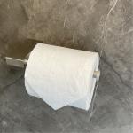 6.6 Inches Length Wall Mount Toilet Paper Roll Holder Satin Finished Anti Rust