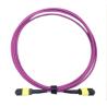 Buy cheap OFNP MPO Patch Cable from wholesalers
