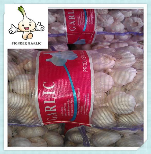 Buy cheap fresh natural white garlic 500g garlic white garlic good price with new garlic from wholesalers