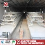 Hot Dip Galvanize Steel A Type Chicken Farm Equipment Battery Layer Automatic