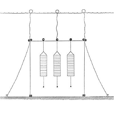 Buy cheap Cylindrical Commercial Fishing Hoop Nets Lantern Nets PE PP Nylon Material from wholesalers