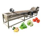 9.4kw 220v 380v Potato Vegetable Coriander Bubble Washer Machine 2000kg/H