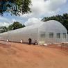 Buy cheap PE Film Growing Cabbage Agriculture Single-Span 10m Width Tunnel Plastic Greenhouse from wholesalers