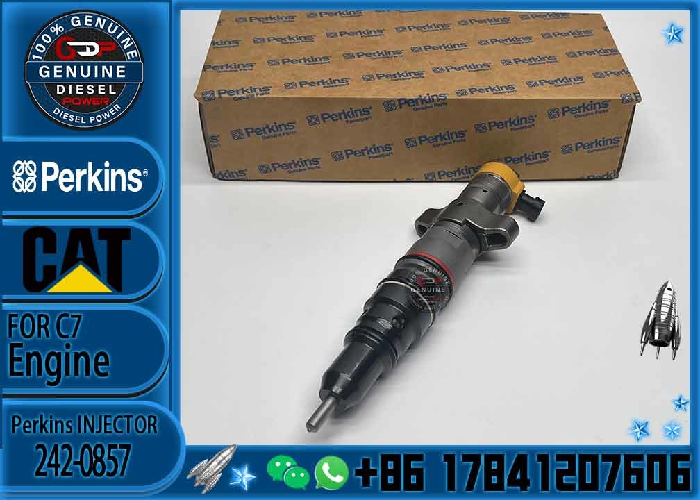 Diesel Engine Parts Common Rail Fuel Injector 242-0857 for CAT C9 330D 340D 336D Excavator CNDIP Factory price