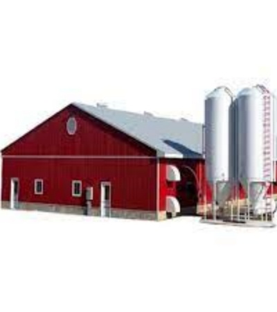 Economical Light Steel House Construction Customized Steel Structure Shed Factory