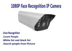 Waterproof Face Recognition and Count People IP Camera