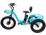 24 Inch 3 Wheel Electric Tricycle 7 Speed 48V 750W Electric Fat Tire Cargo Bike