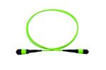 High Density 48 Core MPO Fiber Optic Cable MPO MTP Cable OM3 OM4