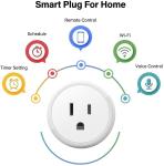 2.4GHz 10A Smart Outlet Wifi Plug AC100V For Voice Control