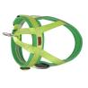 Buy cheap Nylon Adjustable Light Up Led Dog Harness Rechargeable Soft Outdoor Flashing from wholesalers
