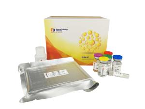 Wholesale 96 Wells Customized Mouse Elisa Kit Vascular Endothelial Cell Growth Factor from china suppliers