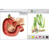 Buy cheap Original metatron 4025 hunter Hematology Russian Language Body Composition Analyzer from wholesalers