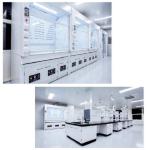 Carbon Filter Fume Hood Chamber For Laboratory Cleanroom