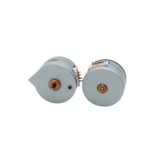 Wholesale 25BY45 Micro Stepper Motor Two Phase For Sanitary Appliance 24V from china suppliers