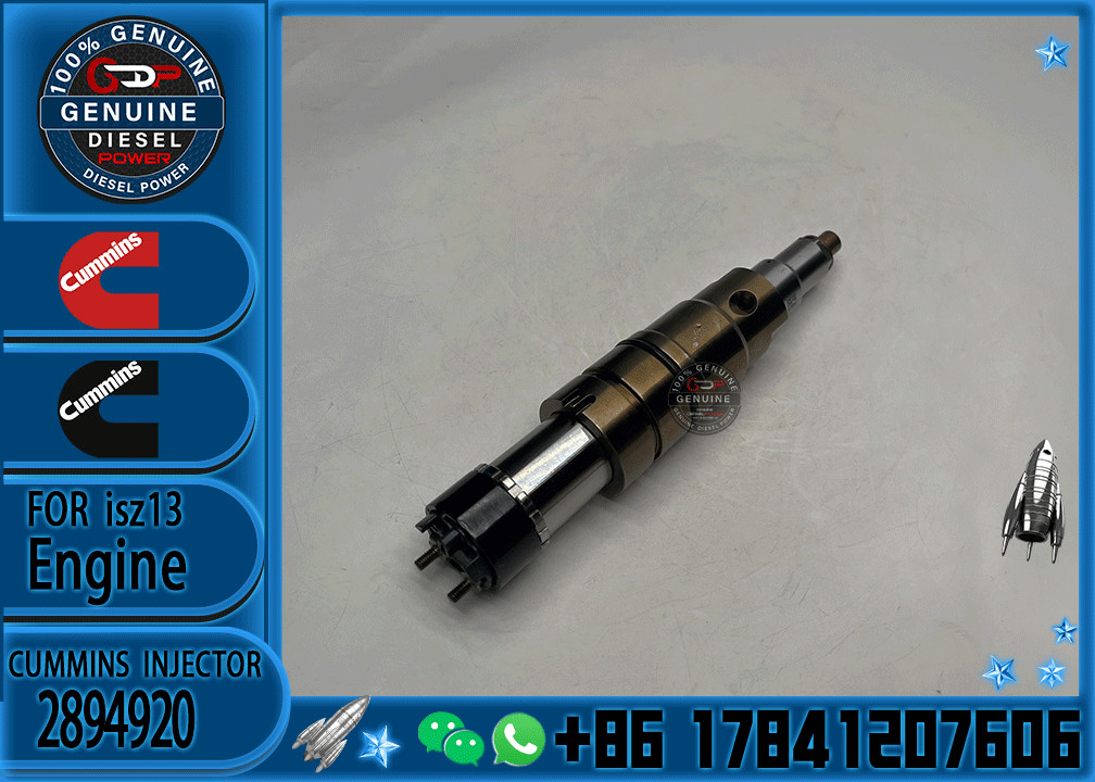 Isx15 Qsx15 Engine 5579417px 2872405nx 2894920 2872544 2086663 Diesel Common Rail Fuel Injector 2872405