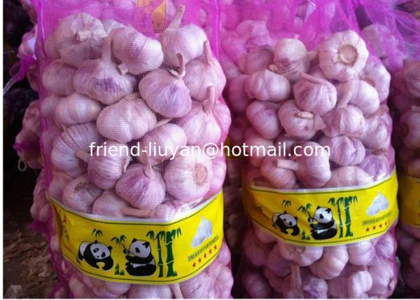 Buy cheap Breathable PE Mesh Woven Bag Garlic Packing Rachel Bags from wholesalers