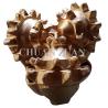 Buy cheap IADC 127 Steel Tooth Tricone Bit 8 1/2 Inch / Roll Forged Oilfield Drill Bit from wholesalers