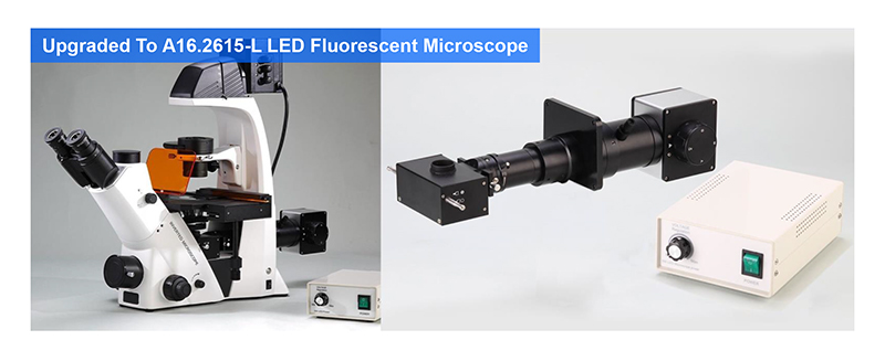 Inverted Fluorescence Led Digital Microscope