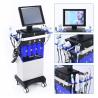 Buy cheap 250VA Hydra Aqua Peel Facial Machine 100V - 240V Hydra Beauty Facial Machine 14 In 1 from wholesalers