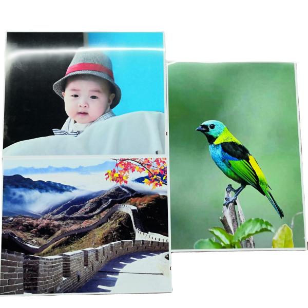 Buy cheap 36"X30m RC Color Photographic Paper from wholesalers