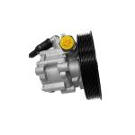 Renualt Alternative Hydraulic Power Steering Pump 8200562164 8200738299