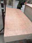 Alkaline Resistant WBP 22mm Hardwood Veneer Plywood