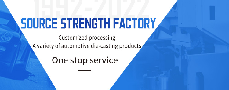 Steel Vehicle Mould Die Casting Professional for Custom Car Aluminum Parts