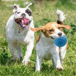 Dog Toy Teeth Cleaning Playing Natural TPR Foam Indestructible Durable Outdoor