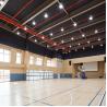 Buy cheap Sound Absorbing Suspended Wood Panel Ceiling , Perforated Wood Acoustic Panels 12mm from wholesalers