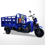 Air-Cooled 2016 Design 200cc 250cc Trimoto de Carga Motor Cargo Tricycle in
