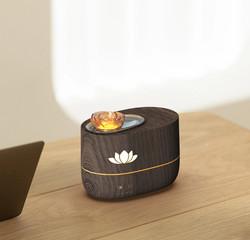 Buy cheap Home Auto Shut Off Humidifier 350ml With Timing Automatic Outage Protection from wholesalers