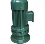 High Speed Compact Cycloidal Planetary Gear Reducer Vertical BLD4