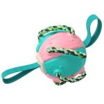 Bite Resistant Training Dog Friendly Soccer Ball Outdoor Dog Soccer Ball With