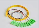 2~48F Fiber Optic Pigtail Bundle