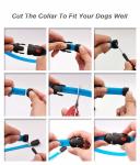 Night Walking Safety Light Up Dog Collar , USB Rechargeable LED Dog Collar