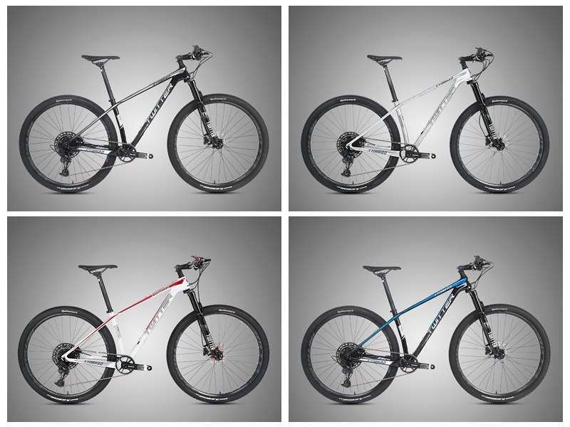 29er STORM2.0 Carbon Mountain Bike SHIMANO ALTUS M2010-27 Speed Groupset
