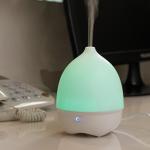 Portable Home Appliance 80ml Ultrasonic Cool Mist Humidifier