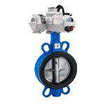 Electric Valve for Flange Accommodation ASME 125/150 AS 2129 Table E PN 10/16